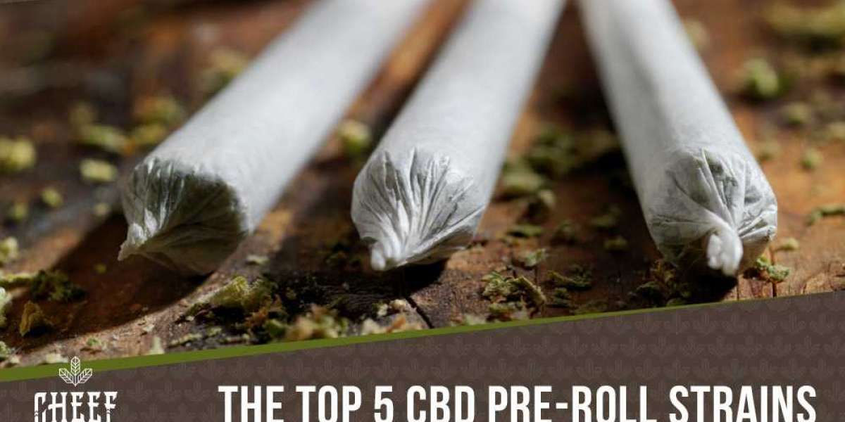 All Possible Information About CBD Pre Rolls