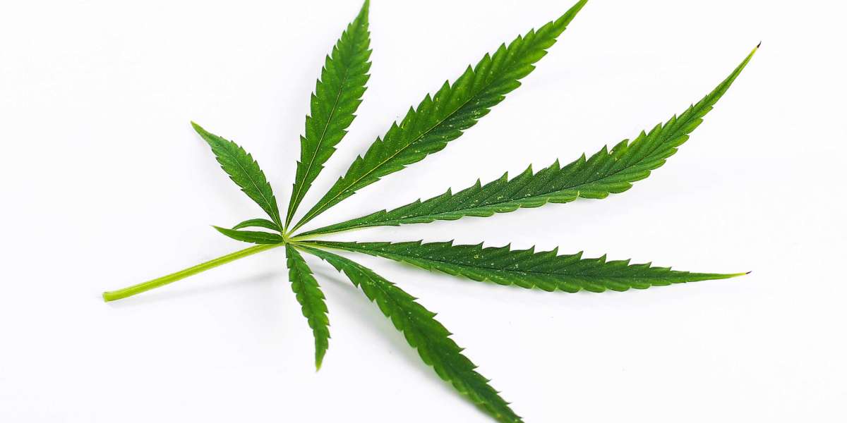 Health Benefits Of Medical Marijuana: A Comprehensive Overview