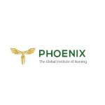 Phoenix_Nursing Institute