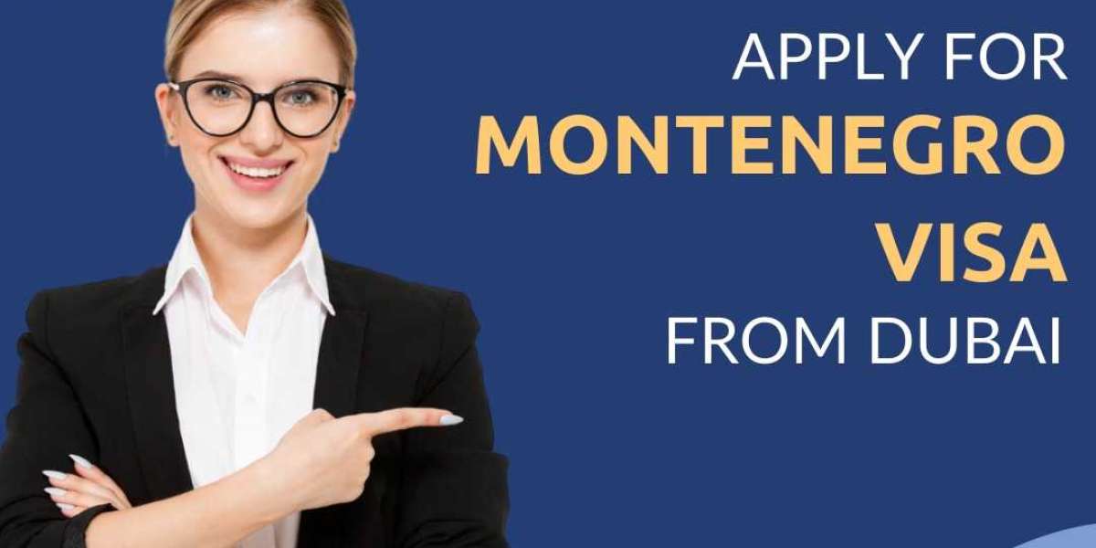 Montenegro Visa Specialist: Your Expert EMS Visa Consultant