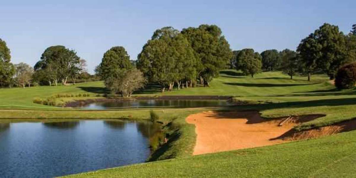 Which Golf Courses in South Africa Can Make Your Golfing Holiday Enjoyable?