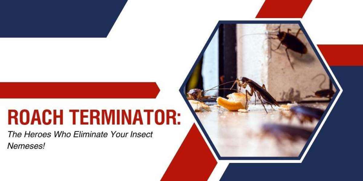 Roach Terminator: The Heroes Who Eliminate Your Insect Nemeses!