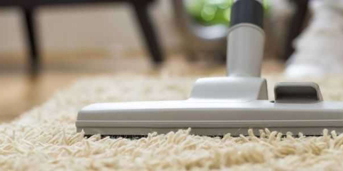 Pristine Paws: Elegant Rug Cleaning in Los Gatos - Graceful Solutions for Pet Stains and Odors