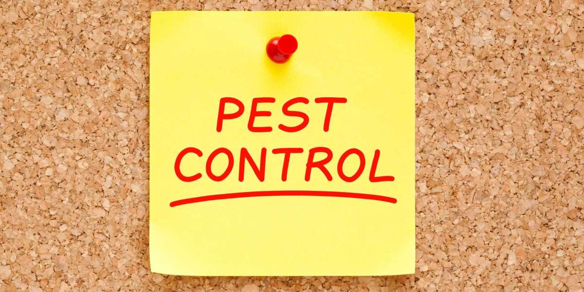 The Ultimate Guide to Pest Control in London: Protect Your Space from Pests