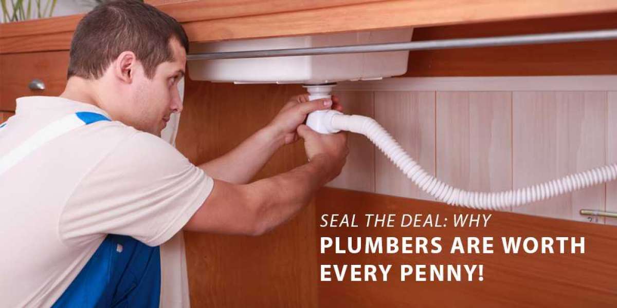 Seal the Deal: Why Professional Plumbers Are Worth Every Penny!