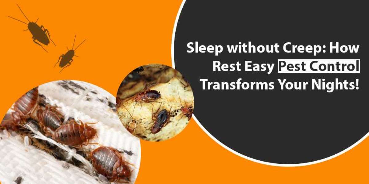 Sleep without Creep: How Rest Easy Pest Control Transforms Your Nights!