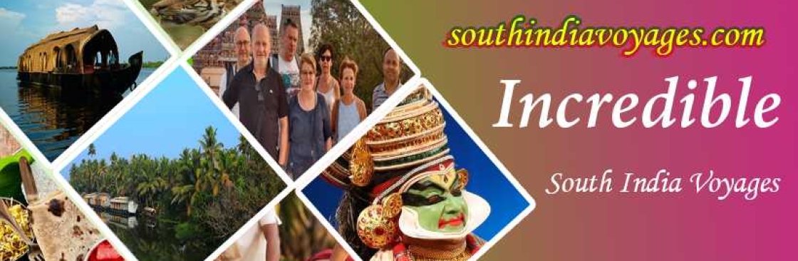 South India Voyages Cover Image