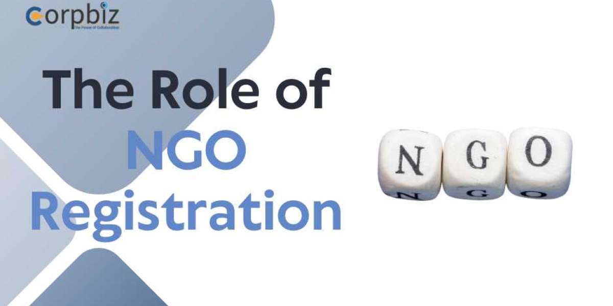 Creating Lasting Change: The Role of NGO Registration