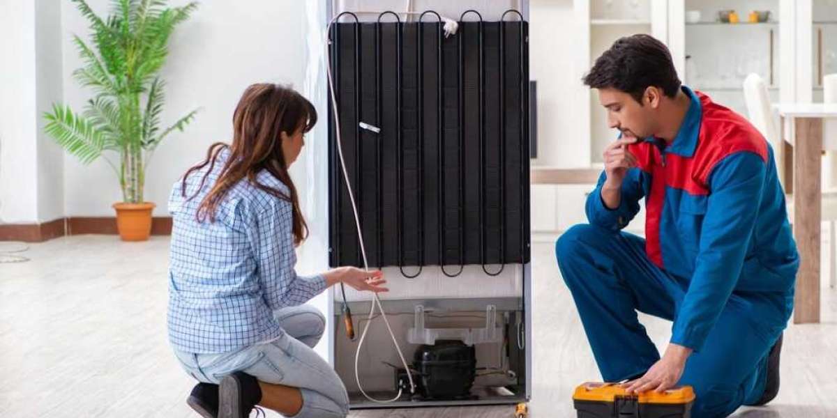 Same-Day Fridge Repairs In Sydney: Get Professional Services By Expert Mechanics