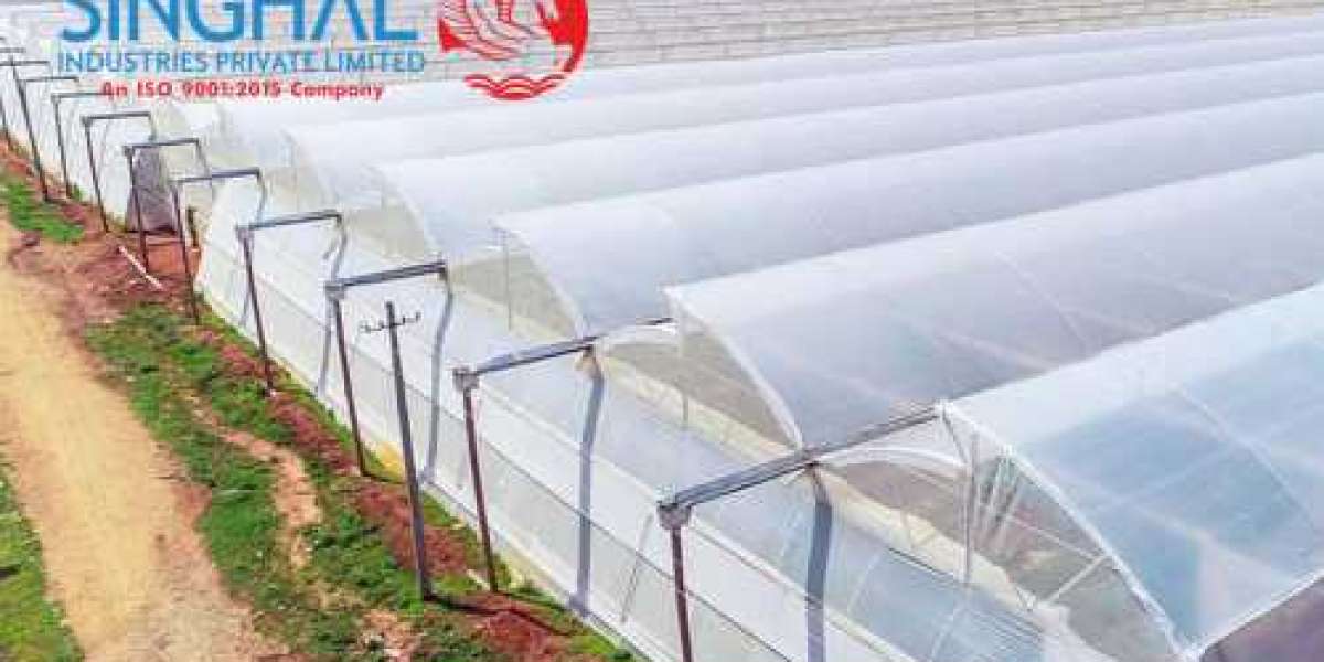 Choosing the Right Greenhouse Plastic Film Supplier: A Comprehensive Guide