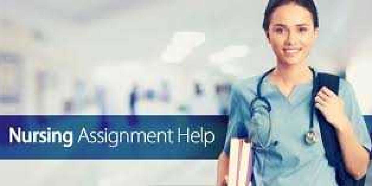 Nursing Assignment Help: Your Key to Academic Success