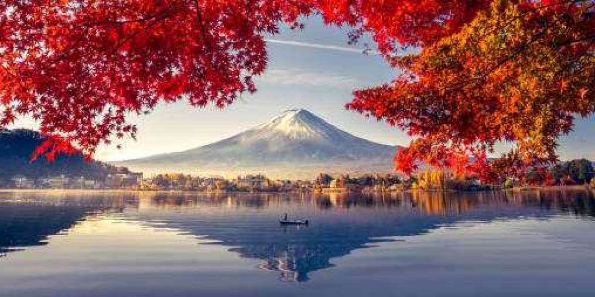 Unveiling the Charm of Fuji Tours: A Journey of Discovery