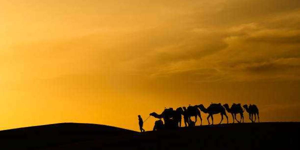 Experience Unforgettable Morocco Desert Tours with Safety and Joy