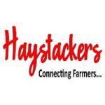 haystackers profile picture