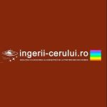 ingerii cerului profile picture