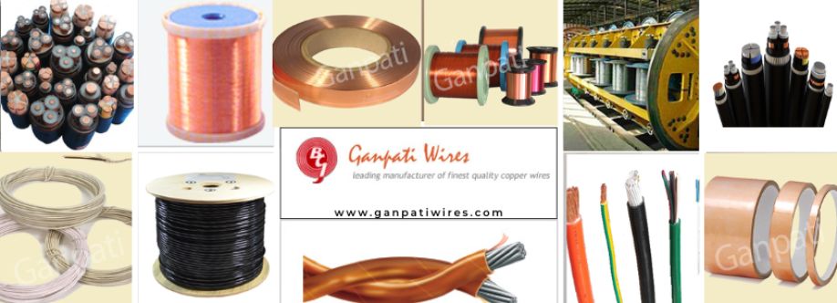 Ganpati Wires Cover Image