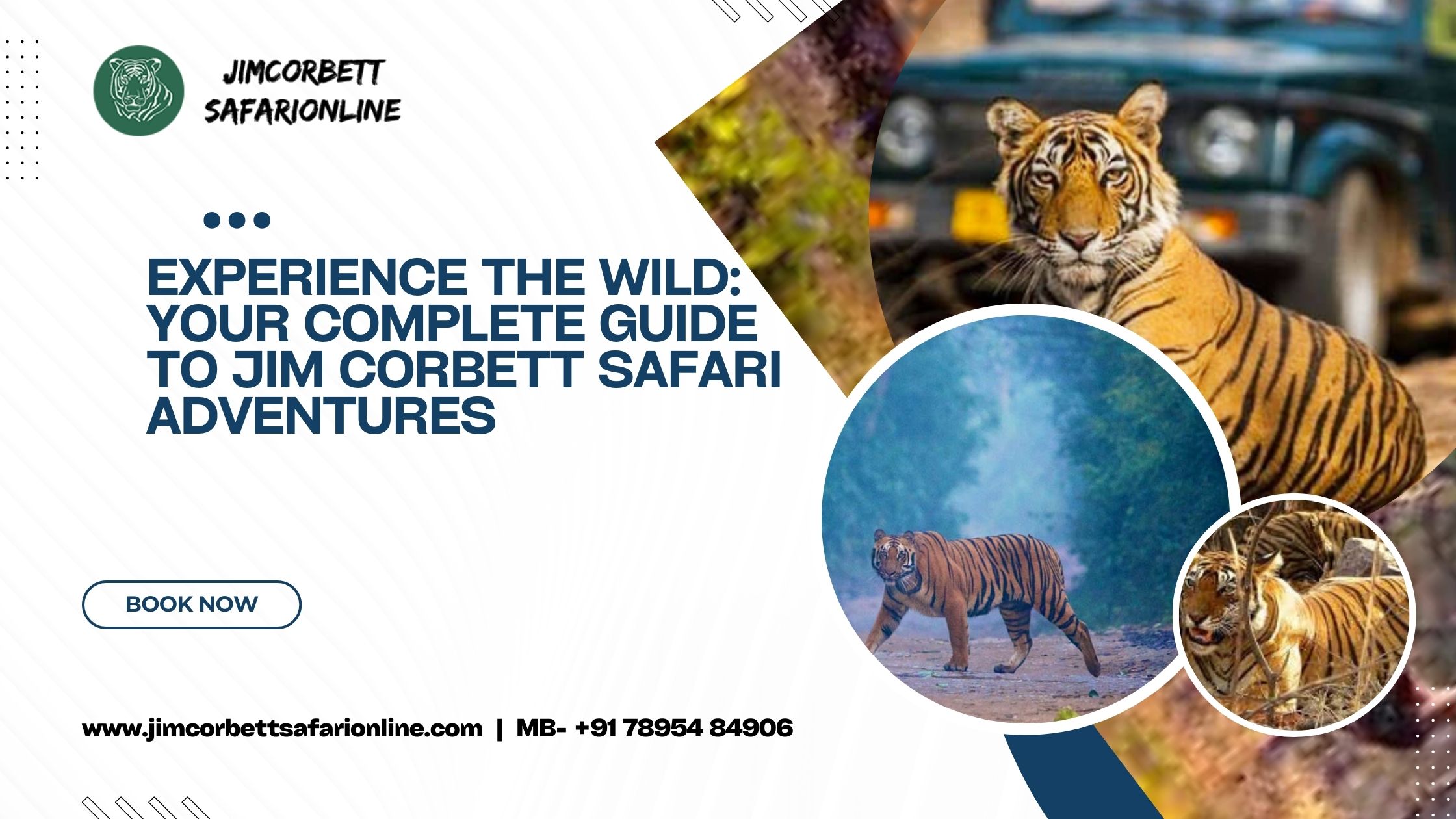 Experience the Wild: Your Complete Guide to Jim Corbett Safari Adventures – Jim Corbett Safari Online