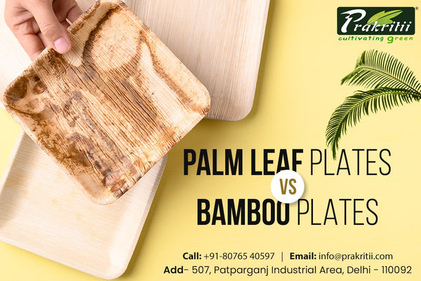 Palm Leaf Plates vs Bamboo: Which Eco-Friendly Option is Right for You? - Prakritii - Prakritii - Cultivating Green