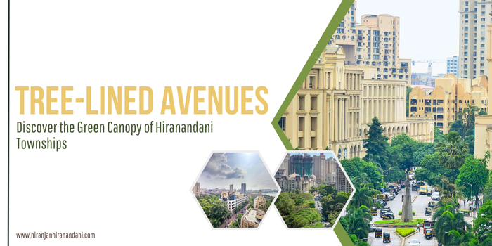 Discover the Green Canopy of Hiranandani Townships: Tree-Lined Avenues – Niranjan Hiranandani