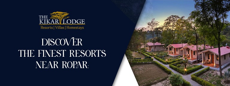 Resorts near Ropar | Best wedding destination resorts near Ropar - The Kikar Lodge