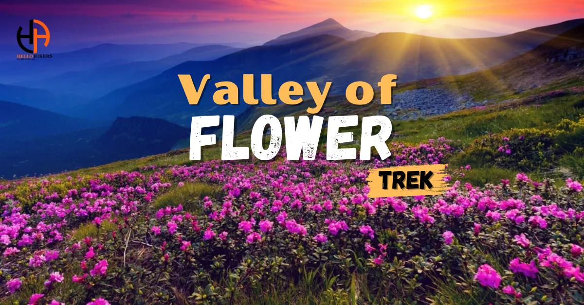 Valley of Flowers Trek 2024 - Overview & Itinerary