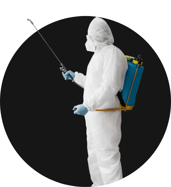 Quality Mold Remediation Services in Washington DC | Rath Inc