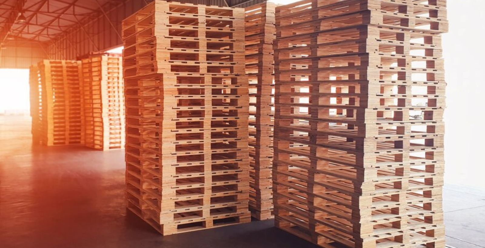 Ottawa Pallet Services | USA Pallet + Warehousing, Inc