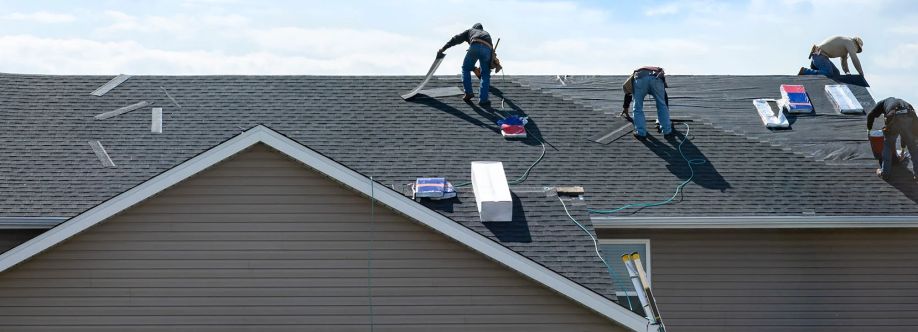 Stump Metal Roofing Cover Image