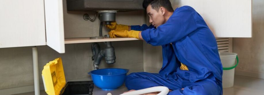 Professional Plumbing Services Cover Image