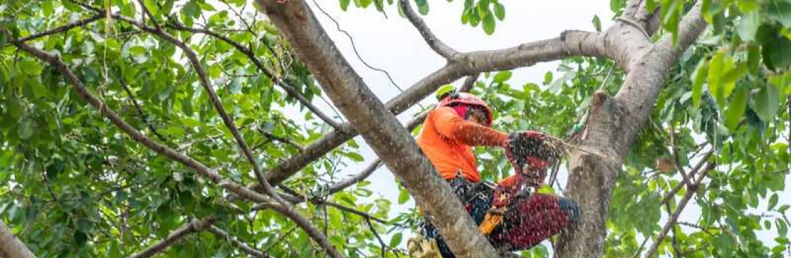 BC Tree Service Cover Image