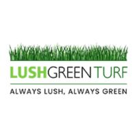 Lush Green Turf Landscaping