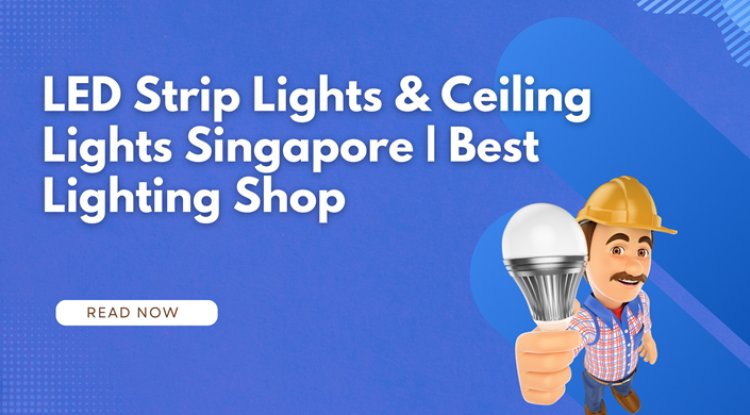 LED Strip Lights & Ceiling Lights Singapore | Best Lighting Shop - Philadelphia Live News