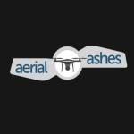 aerialashes profile picture